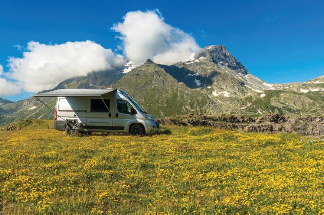 Van på en vacker blomsteräng, med berg i bakgrunden